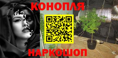прущие крисы Краснодар